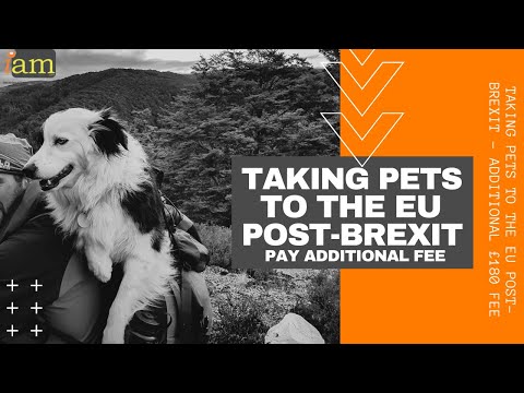 Taking Pets To The EU Post Brexit - Additional £180 Fee