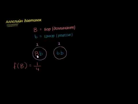 Видео: Аллелийн давтамж гэж юу вэ?