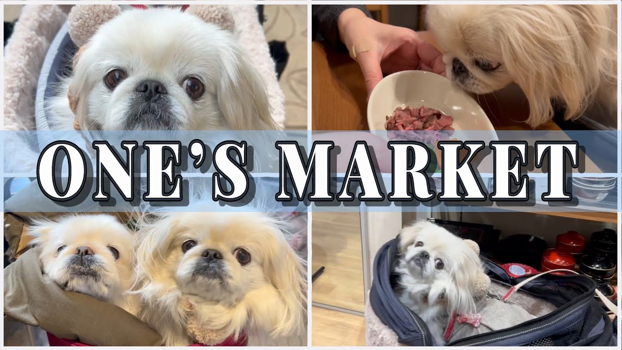 【犬イベント】一日で「三度楽しい」を味わった素敵な休日！