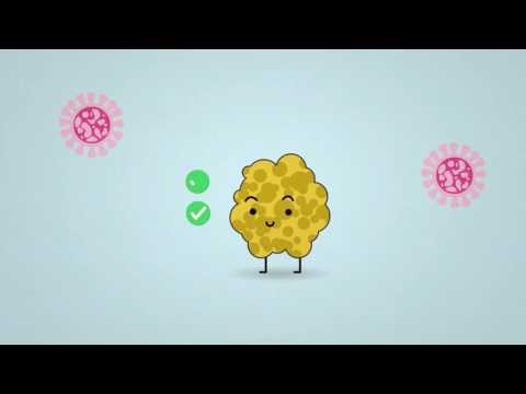 Video: ¿Son los líquenes parásitos?