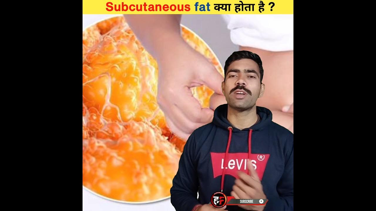 Subcutaneous fat kya hota hai subcutaneous fat shorts 