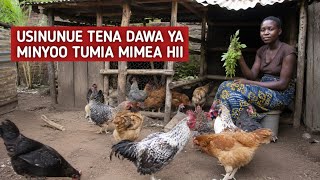 Dawa ya Minyoo ya Bure! Tumia Mimea Hii Badala ya Dawa za Dukani