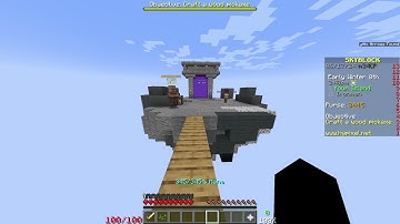 Noob V.S Hypixel skyblock ironman