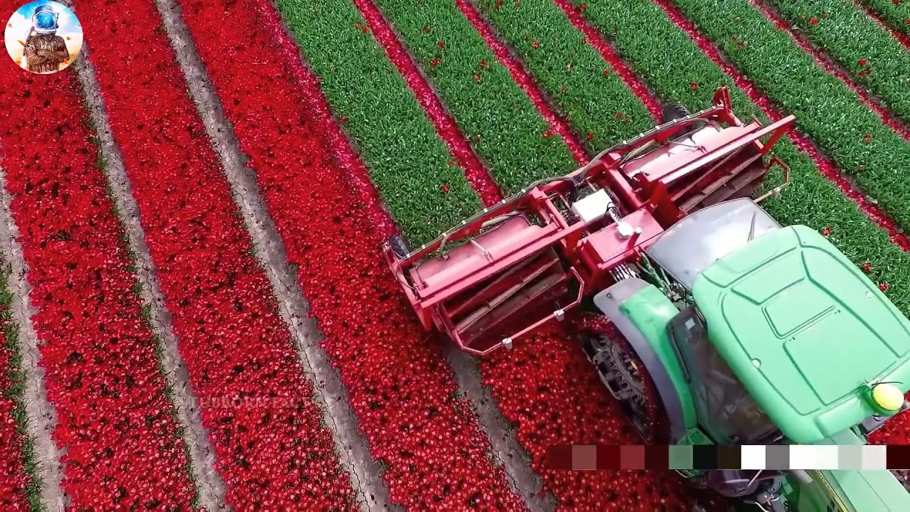 ये मशीनों को देखकर आपके होश उड़ जायेंगे | Modern Technology Agriculture Huge Machines Part-2 ये मशीनों को देखकर आपके होश उड़ जायेंगे | Modern Technology Agriculture Huge Machines Part-2