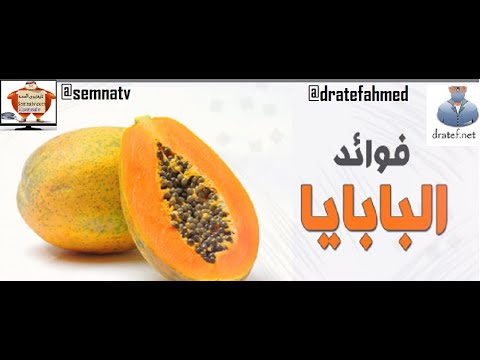 البابايا فوائد واضرار لثمرة البابايا فاكهه البابايا    