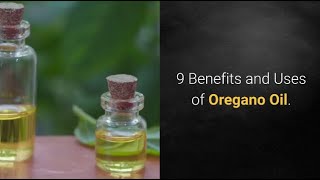 9 Benefits and Uses of Oregano Oil