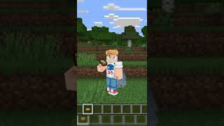 Minecraft PE Sickret friend settings