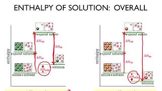 Chem 1 - Chapter 13 Solutions Part 2