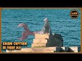 Aterradora Sirena Captada en la Laguna de Xiloá de Nicaragua - Real o Mito ?