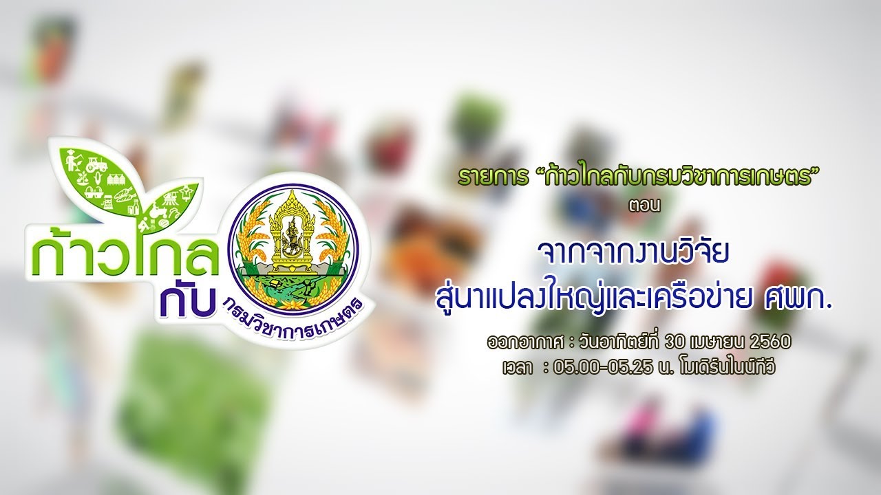 จากงานวิจัย … สู่นาแปลงใหญ่และเครือข่าย ศพก.