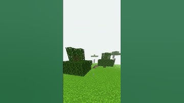 The Perfect Loop Doesnt Exi-