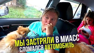 Сломался автомобиль по дороге в Челябинск. Застряли в Миасс. Собаки устали