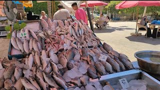 سوق المعمورة اسكندرية|مطاعم ومحلات سمك فراخ سندوتشات وملابس