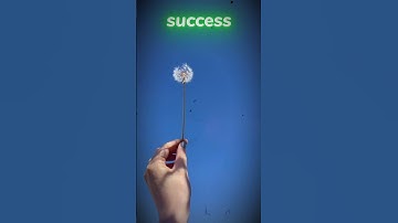 Action is the foundational key to all success