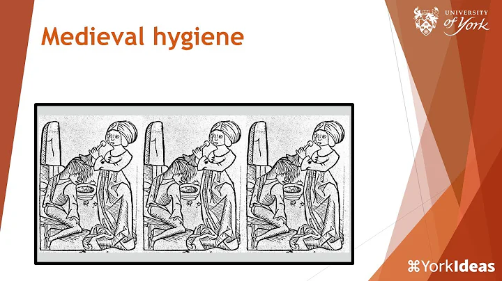 Medieval Hygiene - Katherine Harvey