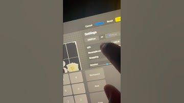 Procreate DPI Hack FOR DTF PRINTING ETC “300 DPI Best for Bigger/Small Projects “ #procreate #dpi