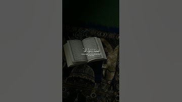 محمدٌ رسولُ الله  #سورة_الفتح #ياسر_الدوسري #تلاوة #قرآن #صوت_الخشوع