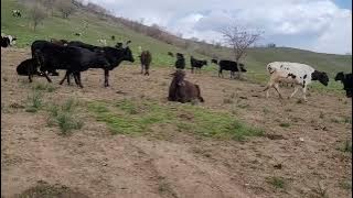 Village and to nature me