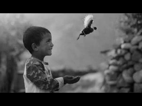 قصيدة عن جبر الخواطر 