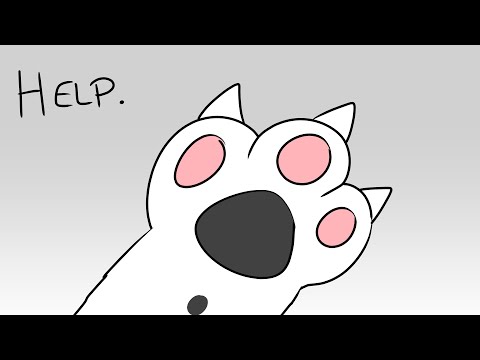 cat noises