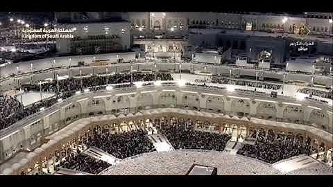 سورة البلد بصوت الشيخ فيصل بن جميل غزاوي من الحرم المكي الشريف 