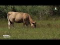 Visite  parc naturel rgional de la brenne  silence a pousse 