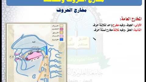 الوحدة الخامسة (اقسام مخارج الحروف) - مقرر مهارات تلاوة القرآن الكريم