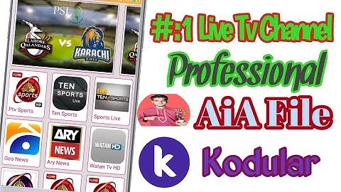 Professional Live TV Channel Live Watch Cricket Match App Aia file With Admin Panel Kodular