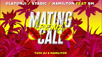 Olatunji, Stadic, Hamilton, Tavo Dj , Pasbliton (Ft. RM)  - Mating Call (Official Remix)