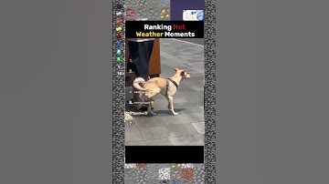 🔴 FALLING PICKAXE MINECRAFT EXTREME #short #minecraftlive