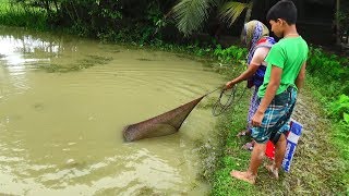 khmer cast net fishing | traditional cast net fishing | netfishing  in the Beel (Part-55)