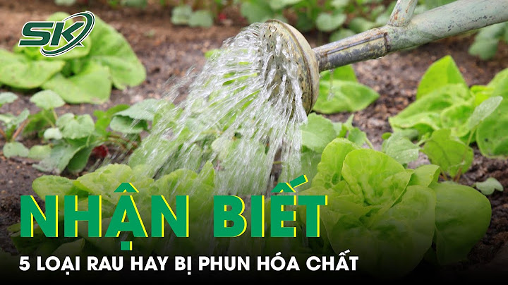 Chỉ số bi là bao nhiêu sẽ phun hóa chất năm 2024