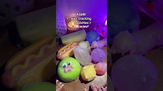 wax cracking squishies bro vs sis #asmr  #waxcracking #figdettoys #squishy