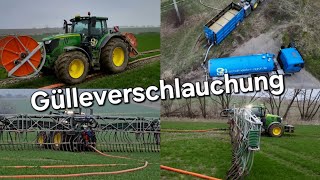 Schafmeister Agrarservice Gülleverschlauchung mit John Deere R6 & PERWOLF Schlauchsystem 4k UHD