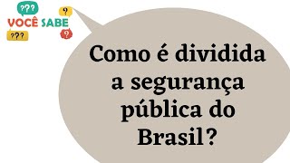 Como é dividida a segurança pública do Brasil?
