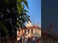 maa sharda 😍🚩 | virat_nagari_ | #shahdol #maa #maasarda #maihar #song #dham #feedshorts