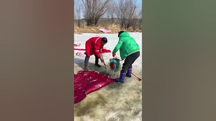 冰凍三尺非壹日之寒 ，這就是冬天該有的樣子#捕魚#Fishing#戶外#搞笑#shorts