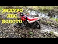 Enduro прохват через леса и болота на Motoland XR250, Irbis TTR250 & Irbis TTR125