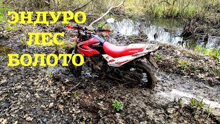 Enduro прохват через леса и болота на Motoland XR250, Irbis TTR250 &amp; Irbis TTR125