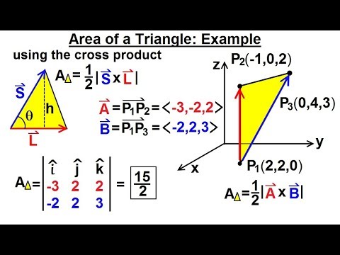 Calculus 3: Vector