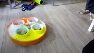 Hoverdrone 1 proof of concept