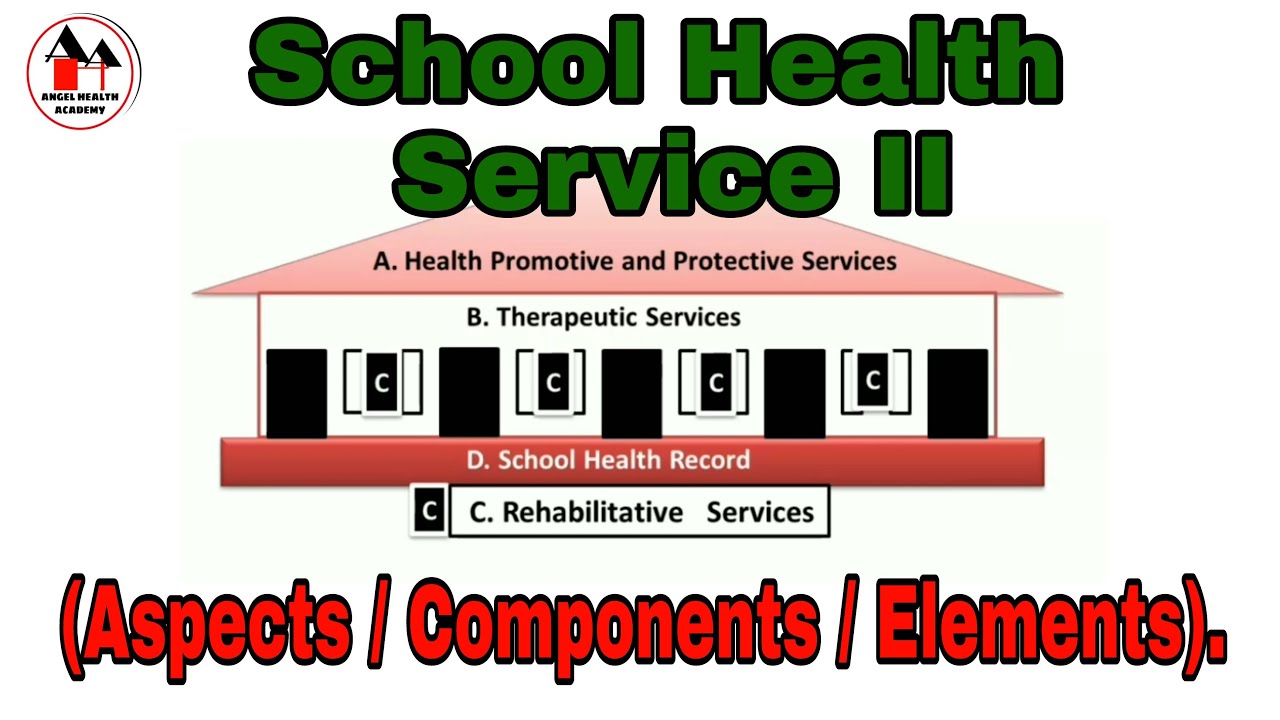 school health services assignment