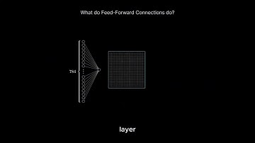 What does the feed forward connection do?