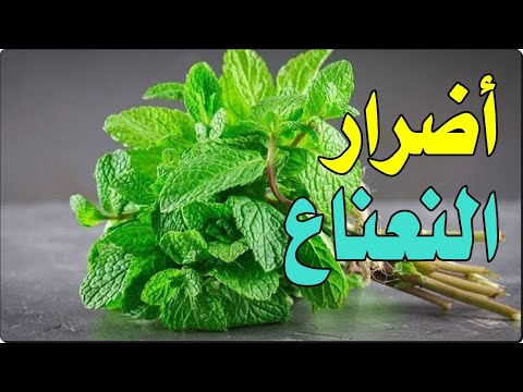 فيديو: هل كل الأرباع بها علامات النعناع؟