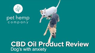 Pet CBD product review for dogs with anxiety - Pet Hemp Company