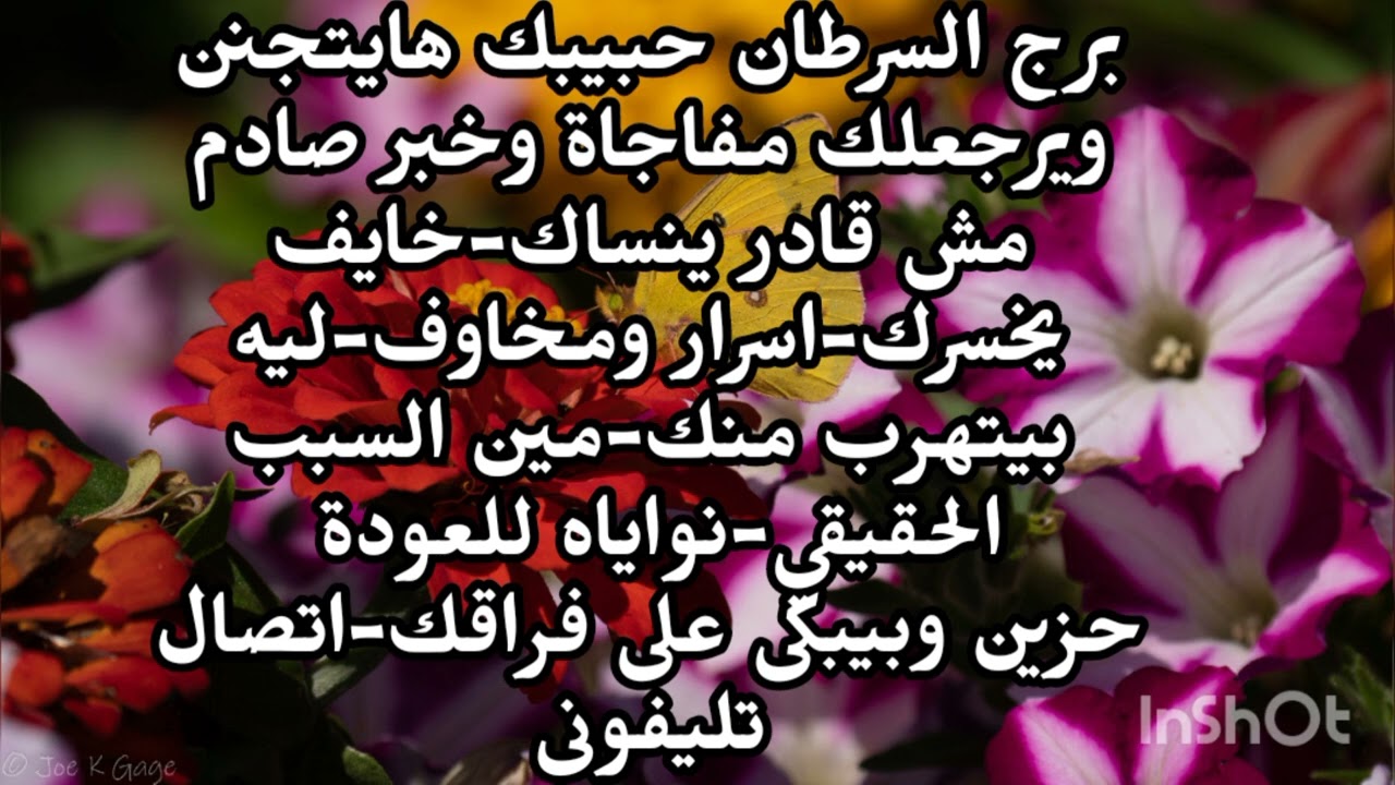 برج السرطان حبيبك هايتجنن ويرجعلك مفاجاة وخبر صادم مش قادر ينساك ليه بيتهرب منك اتصال تليفونى 