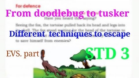 From doodlebug to tusker (different techniques to escape) STD 3.evs, part 1