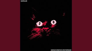 Kediler Düşüyor Gökyüzünden - Bağzıları