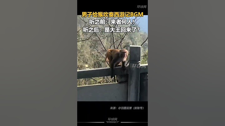 美猴王孫悟空的BGM一響，就連小猴都被硬控30s #孫悟空 #西遊記 #美猴王  #shorts