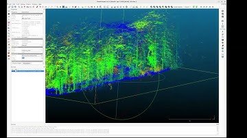 Instance Segmentation of Forestry Point Clouds